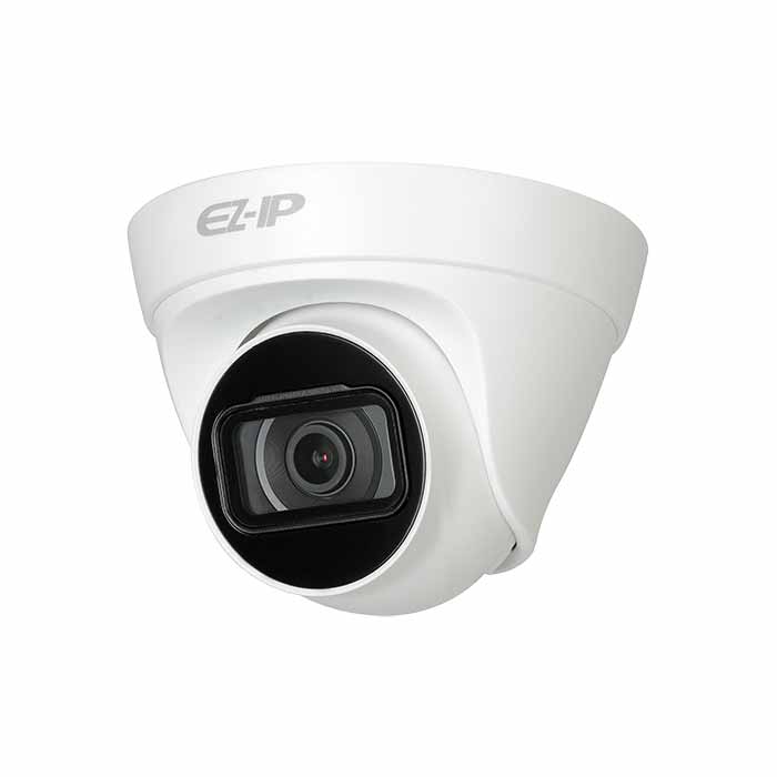 Camera IP hồng ngoại 4MP Dahua DS2431TDIP-S2