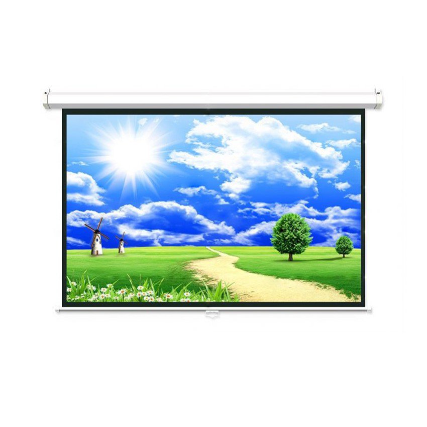 Màn Chiếu Treo Tường DALITE P80WS 113 inch Đường Chéo - Kích Thước 2,03m x 2,03m (80 x80)