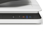 may-scan-epson-workforce-ds-1630