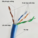 cap-mang-amp-commscope-cat6-1427254-6