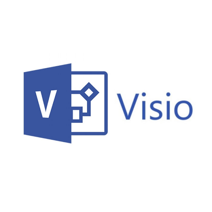 Phần mềm Microsoft – VisioPro 2019 SNGL OLP NL